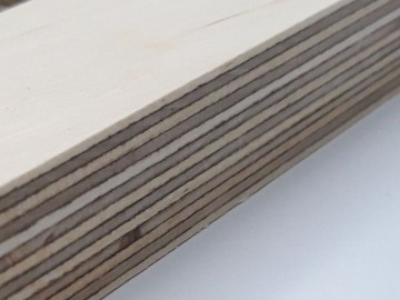 Detail berken 18mm 3